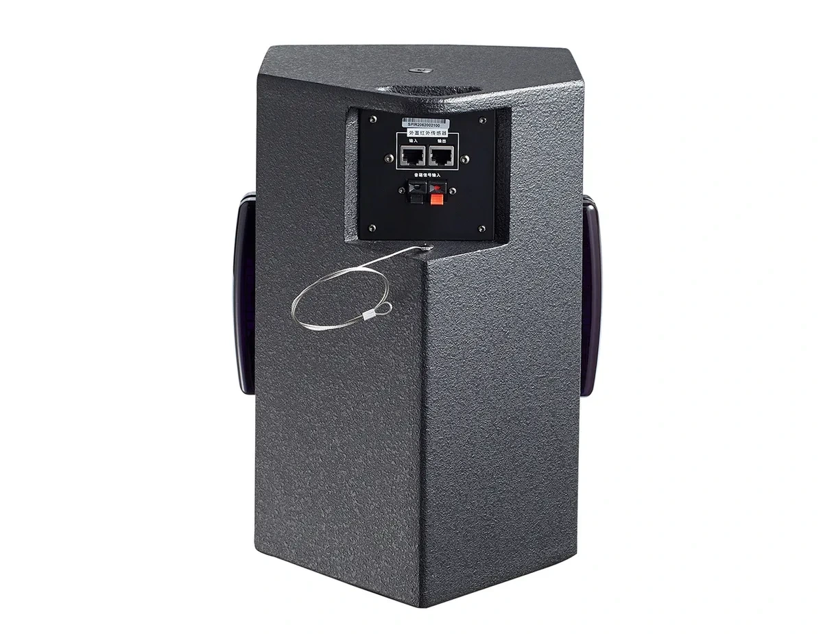 SP-IR207 Classroom Passive Speaker — passive speaker for classroom, lecture and institutional audio systems. thumbnail 1